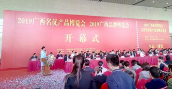 廣西通靈大峽谷閃耀2019年國家級博覽會，助推旅游品牌升級